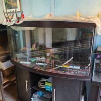 Acquario Juwel 260 vision 