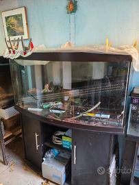 Acquario Juwel 260 vision 