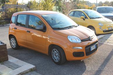 FIAT Panda 3ª serie - 2021