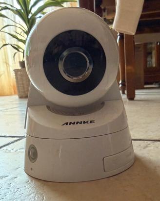 Telecamera interna