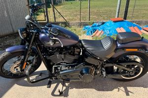 Harley-Davidson Street Bob 117 2025