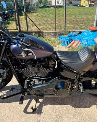 Harley-Davidson Street Bob 117 2025