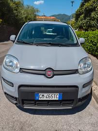 Fiat Panda 2023