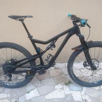 mtb full Rose Root Miller biammortizzata