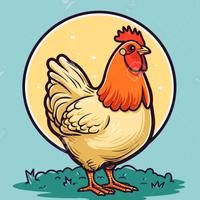 Uova di gallina da allevamento all'aperto