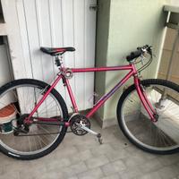 Mountain bike specialized