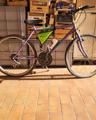 mountain bike