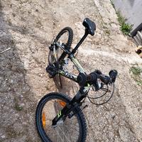 bici 20 pollici bambino