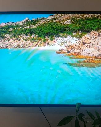 TV Samsung LCD 48