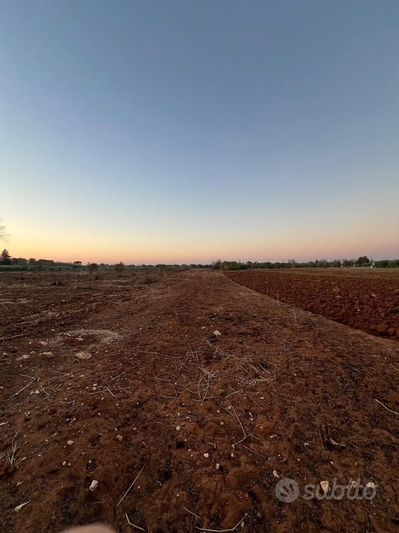 Terreno agricolo 50aree circa 4500 - Vista 3