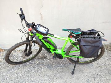 Bicicletta elettrica pedalata assistita
