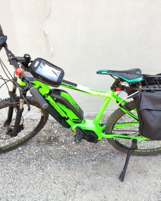 Bicicletta elettrica pedalata assistita