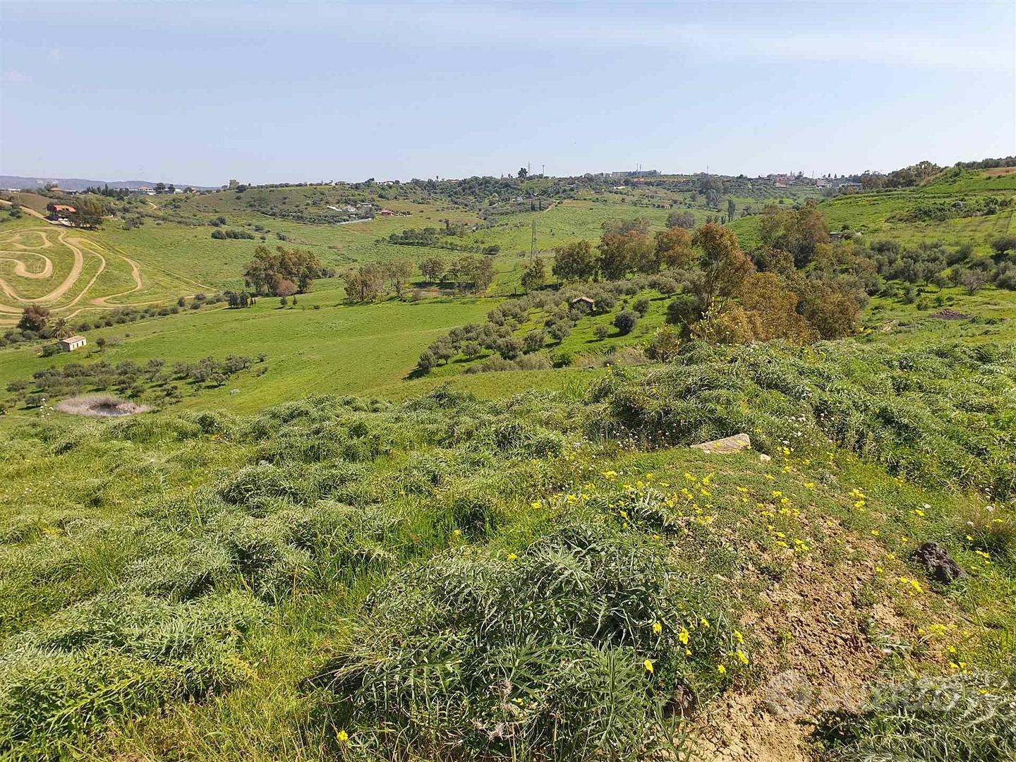 Rif.CG14| terreno agricolo motta sant'anastasia - Vista 4