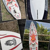 Tavole e vele Windsurf