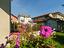 Immagine 23