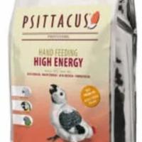 Pappa da imbecco Psittacus