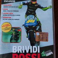 DVD ORIGINALE  BRIVIDI ROSSI 2005