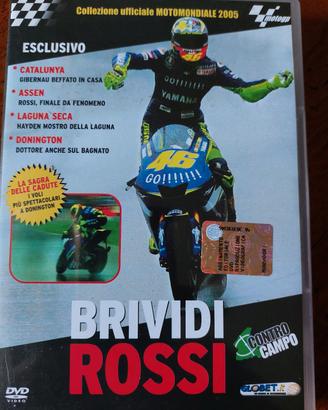 DVD ORIGINALE  BRIVIDI ROSSI 2005