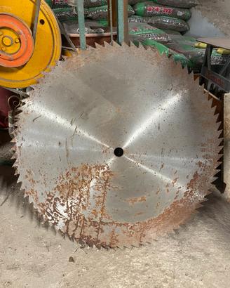 Lama per sega circolare