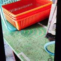 Attrezzatura per conserva