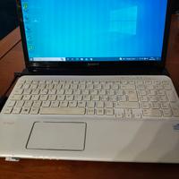 computer Sony vaio