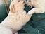 Immagine 4