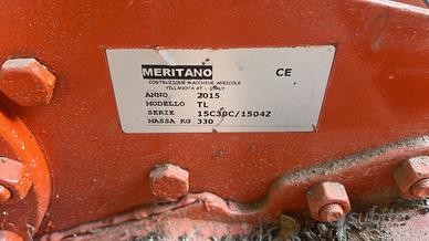 Fresa meritano