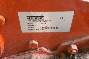 Fresa meritano