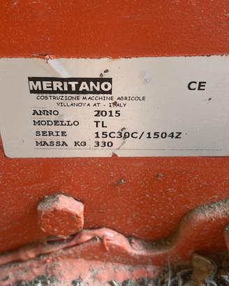 Fresa meritano