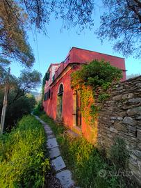 A Lavagna casa indipendente nell'uliveto