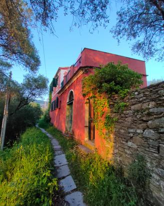 A Lavagna casa indipendente nell'uliveto