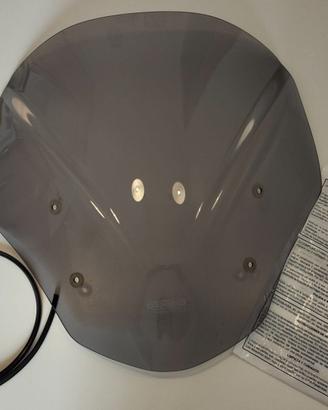 Cupolino MRA per BMW R1250R