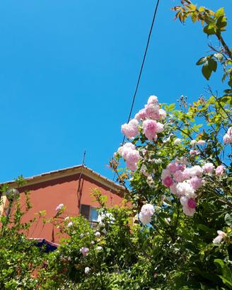 Villetta semi indipendente 