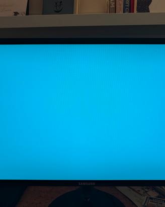 Monitor PC Samsung 24" Full HD (S24F350)