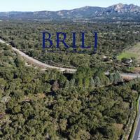 Sughereta nel Cuore della Gallura