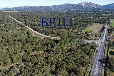 Sughereta nel Cuore della Gallura