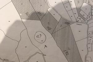 Terreno collinare bosco alto con SORGENTE ACQUA