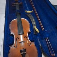 Strumento musicale violino