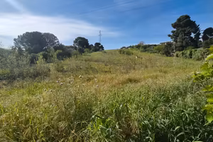 Terreno agricolo Ter/73