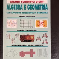 Libro algebra e geometria