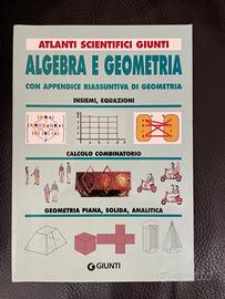 Libro algebra e geometria