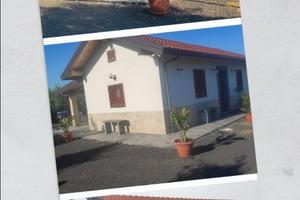 Casale indipendente immersa tra gli ulivi