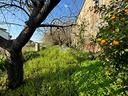 rustico-a-cascina