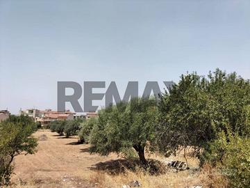 Terreno - Comiso