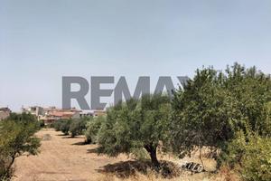 Terreno - Comiso