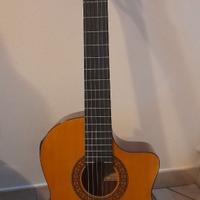 CHITARRA WALDEN CON CUSTODIA TOMASSONE