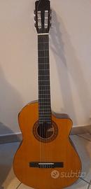 CHITARRA WALDEN CON CUSTODIA TOMASSONE