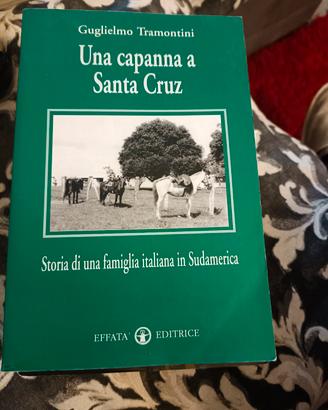una capanna a santa Cruz 