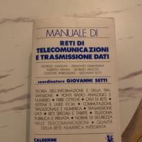 Manuale Calderini
