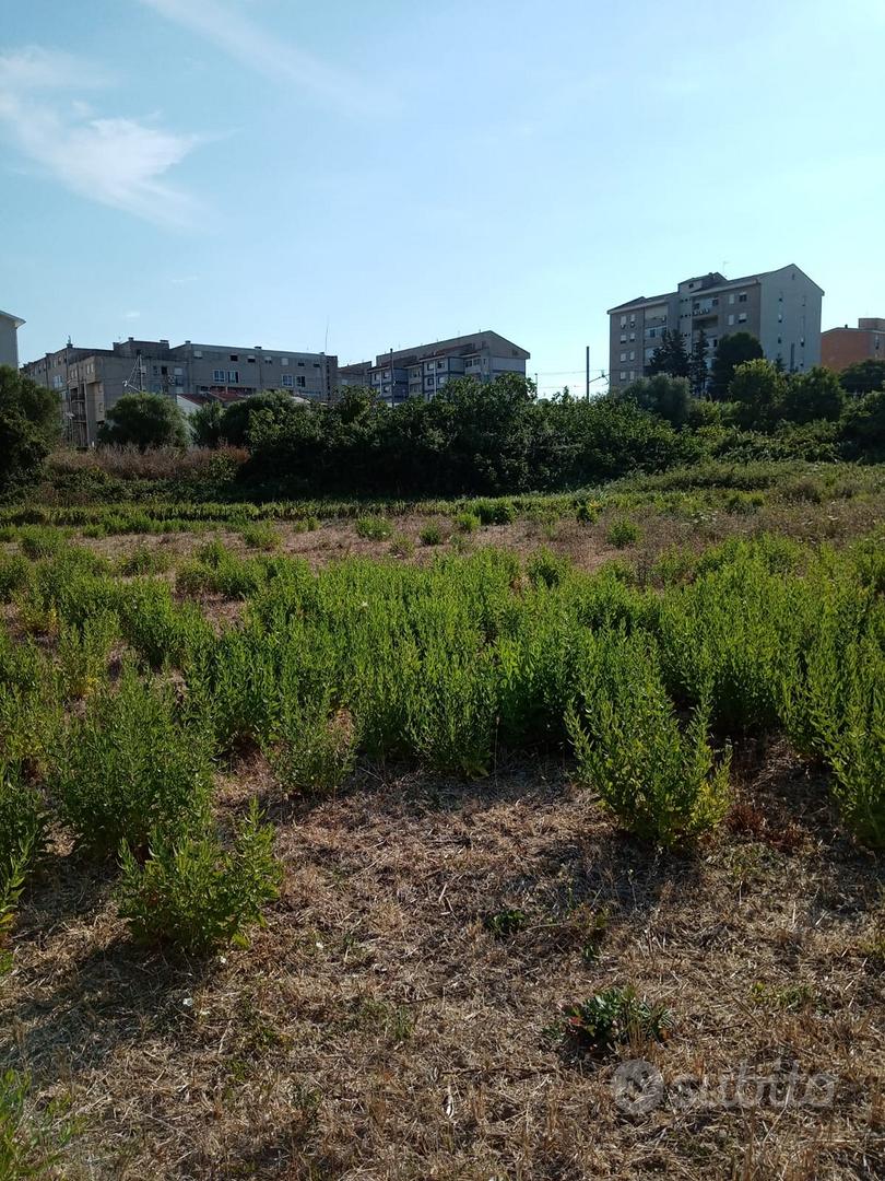 TERRENO EDIFICABILE SASSARI - Vista 2